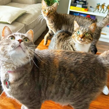 Home visit 6