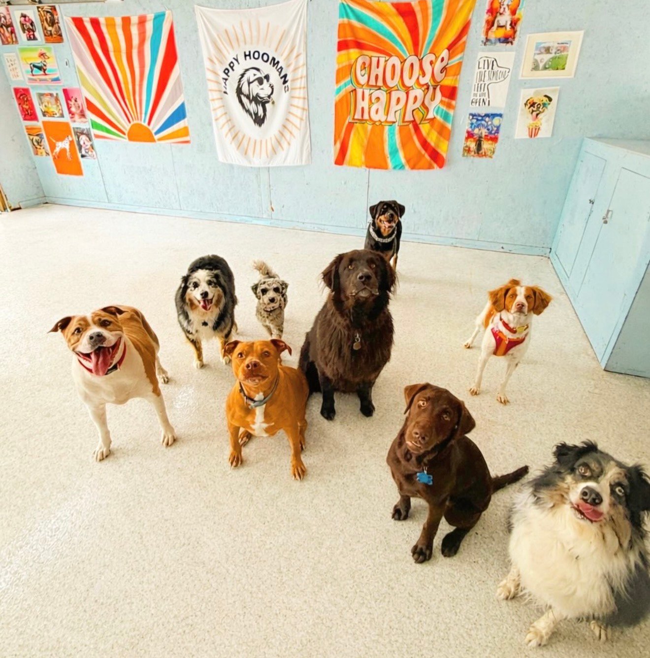 Daycare photos 8